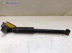 Shock Absorber FIAT GRANDE PUNTO (199_), FIAT PUNTO (199_), FIAT PUNTO EVO (199_), ABARTH GRANDE PUNTO