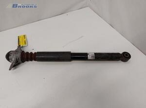 Shock Absorber VW GOLF VI (5K1), VW GOLF VI Van (5K1_), VW GOLF VAN VI Variant (AJ5), VW GOLF V (1K1)