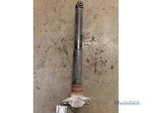 Shock Absorber AUDI A3 (8P1), AUDI A3 Sportback (8PA), VW GOLF V (1K1), VW GOLF VI (5K1)