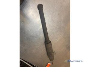 Shock Absorber FIAT BRAVO II (198_)