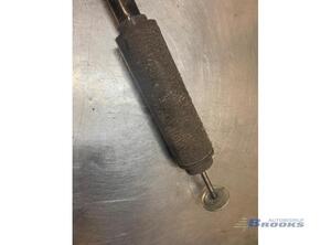 Shock Absorber FIAT BRAVO II (198_)