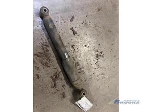 Shock Absorber RENAULT KANGOO Express (FC0/1_)