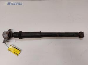 Shock Absorber CITROËN C4 II (B7)