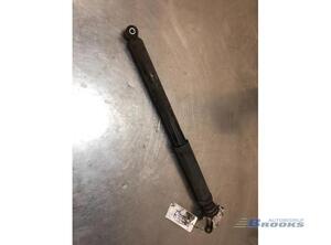 Shock Absorber FORD FOCUS II (DA_, HCP, DP)