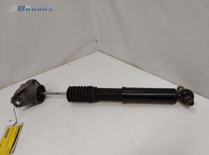 Shock Absorber AUDI A5 (F53, F5P)