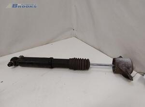 Shock Absorber AUDI A5 (F53, F5P)