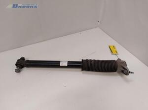 Shock Absorber TESLA MODEL 3 (5YJ3)