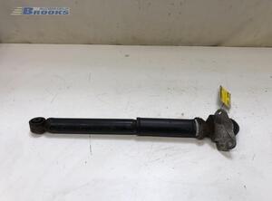 Shock Absorber VW GOLF V (1K1), AUDI A3 (8P1), AUDI A3 Sportback (8PA), VW GOLF VI (5K1)