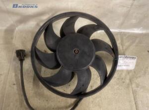 Interior Blower Motor FORD TRANSIT CONNECT (P65_, P70_, P80_)