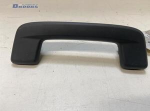 Grab Handle AUDI Q4 SUV (F4B)