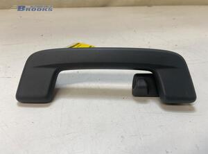 Grab Handle AUDI Q4 SUV (F4B)