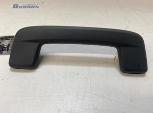 Grab Handle AUDI Q4 SUV (F4B)