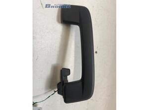 Grab Handle AUDI Q4 SUV (F4B)