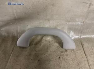 Grab Handle VW GOLF VI Variant (AJ5), VW GOLF VAN VI Variant (AJ5), VW GOLF V Variant (1K5), VW GOLF VI (5K1)