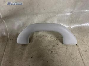 Grab Handle VW GOLF VI Variant (AJ5), VW GOLF VAN VI Variant (AJ5), VW GOLF V Variant (1K5), VW GOLF VI (5K1)