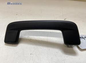 Grab Handle AUDI E-TRON (GEN)