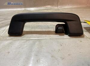 Grab Handle AUDI E-TRON (GEN)