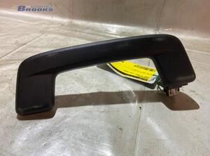 Grab Handle AUDI E-TRON (GEN)