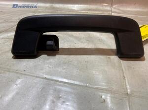 Grab Handle AUDI E-TRON (GEN)