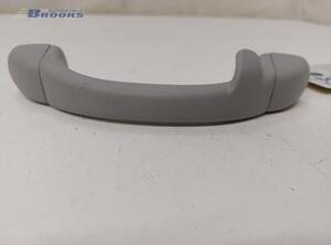 Grab Handle HYUNDAI i10 II (BA, IA)