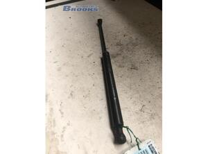 Gas Spring RENAULT ESPACE IV (JK0/1_)