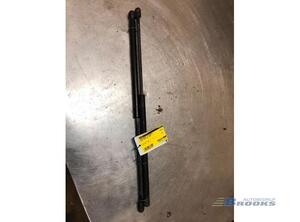 Gas Spring FORD C-MAX (DM2), FORD FOCUS C-MAX (DM2), FORD KUGA I, FORD KUGA II (DM2)