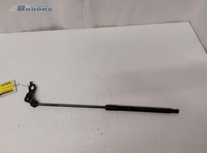 Gas Spring TOYOTA LAND CRUISER PRADO (_J15_)