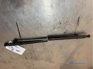 Gas Spring RENAULT CLIO III (BR0/1, CR0/1), RENAULT CLIO IV (BH_), RENAULT CLIO II (BB_, CB_)