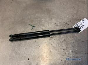 Gas Spring RENAULT TWINGO II (CN0_)