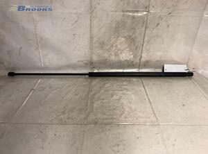 Bootlid (Tailgate) Gas Strut Spring FIAT DOBLO MPV (119_, 223_), FIAT DOBLO Box Body/MPV (223_)