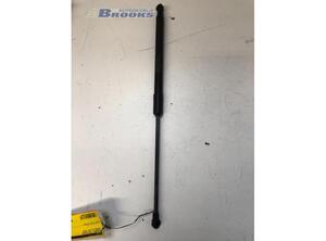 Bootlid (Tailgate) Gas Strut Spring CITROËN C3 III (SX), CITROËN C3 II (SC_)