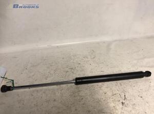 Bootlid (Tailgate) Gas Strut Spring RENAULT CLIO II (BB_, CB_), RENAULT CLIO III (BR0/1, CR0/1), RENAULT THALIA I (LB_)