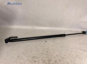 Bootlid (Tailgate) Gas Strut Spring NISSAN NOTE (E11, NE11)