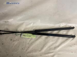 Bootlid (Tailgate) Gas Strut Spring SEAT IBIZA IV (6J5, 6P1), SEAT IBIZA IV SC (6J1, 6P5), SEAT IBIZA IV ST (6J8, 6P8)