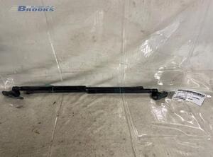 Bootlid (Tailgate) Gas Strut Spring SEAT LEON (1P1)