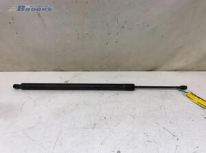 Bootlid (Tailgate) Gas Strut Spring VW TRANSPORTER V Van (7HA, 7HH, 7EA, 7EH), VW TRANSPORTER VI Van (SGA, SGH, SHA, SHH)