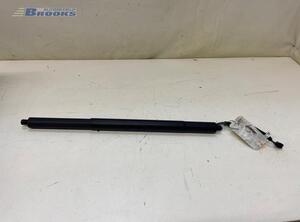 Bootlid (Tailgate) Gas Strut Spring AUDI Q4 SUV (F4B)