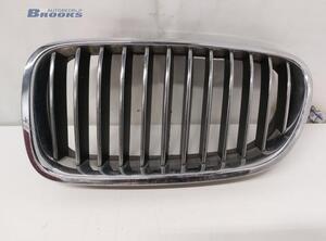 Kühlergrill links BMW 5er Touring F11 7203649 P17482690