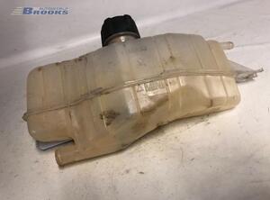 Coolant Expansion Tank RENAULT CLIO III (BR0/1, CR0/1), RENAULT CLIO IV (BH_), RENAULT CLIO II (BB_, CB_)