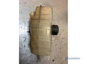 Coolant Expansion Tank RENAULT CLIO III (BR0/1, CR0/1), RENAULT CLIO IV (BH_), RENAULT CLIO II (BB_, CB_)