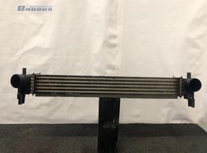 Intercooler VW POLO (6R1, 6C1), VW POLO Van (6R)