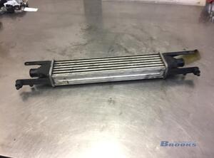 Interkoeler tussenkoeler FIAT GRANDE PUNTO (199_), FIAT PUNTO (199_), FIAT PUNTO EVO (199_)