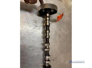 Camshaft SEAT LEON (1M1)