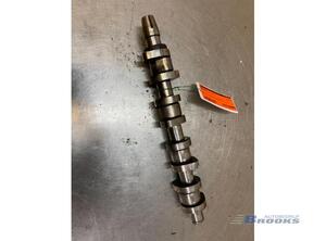 Camshaft VW TRANSPORTER V Bus (7HB, 7HJ, 7EB, 7EJ, 7EF, 7EG, 7HF, 7EC)