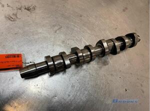 Camshaft VW CADDY III Box Body/MPV (2KA, 2KH, 2CA, 2CH)