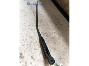 Wiper Arm RENAULT KANGOO Express (FC0/1_)