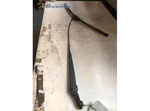 Wiper Arm RENAULT KANGOO Express (FW0/1_), RENAULT KANGOO / GRAND KANGOO (KW0/1_)