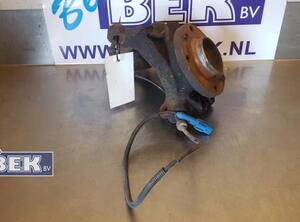 Stub Axle PEUGEOT 207 (WA, WC)