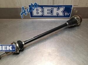 Drive Shaft VW Tiguan (AD1, AX1), VW Tiguan Allspace (BW2)