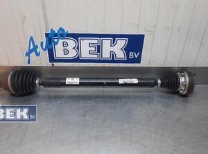 Drive Shaft VW Golf VII (5G1, BE1, BE2, BQ1)